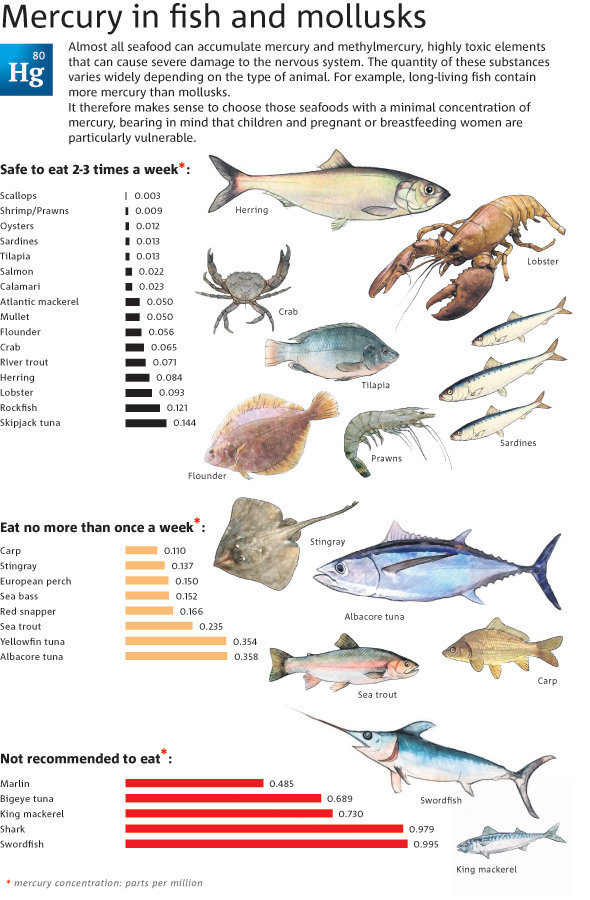 Mercury in Fish and Mollusk